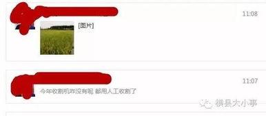 最新爆料图片怎么做,图片背后的惊人真相