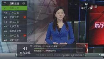 上海频道直播在线观看,上海频道直播精彩瞬间