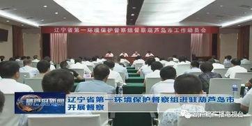 葫芦岛新闻爆料电话,揭秘市民爆料背后的故事