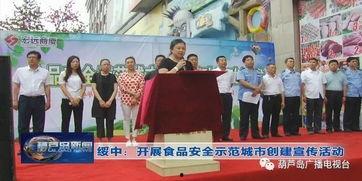 葫芦岛新闻爆料电话,揭秘市民爆料背后的故事