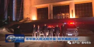 葫芦岛新闻爆料电话,揭秘市民爆料背后的故事