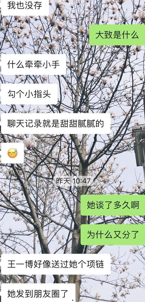 老福特圈内人爆料怎么办,幕后真相大起底