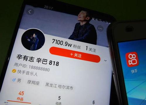 热点爆料辛巴视频大全,热点爆料背后的真相全解析