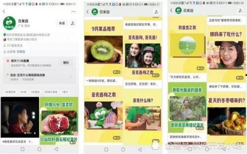 百果园爆料视频最新,揭秘水果界的秘密与惊喜
