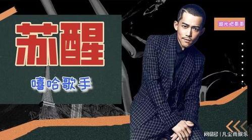 苏醒爆料再就业男团原视频,再就业男团幕后故事，原视频深度解析