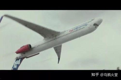 迫降航班在线观看免费,免费观看迫降航班惊险瞬间