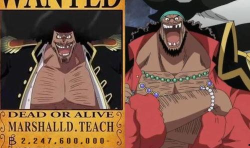 黑胡子最新爆料视频主页,海洋霸主动向全解析