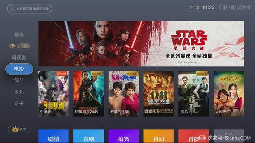 扎堆爆料的视频,热门事件背后的真相与争议