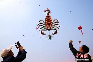 风筝15在线观看,在线观看，揭秘神秘事件的背后真相