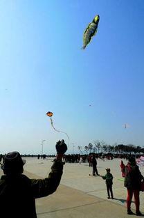 风筝15在线观看,在线观看，揭秘神秘事件的背后真相