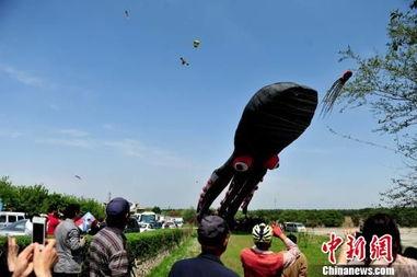 风筝15在线观看,在线观看，揭秘神秘事件的背后真相