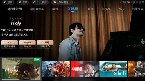 晓鼎爆料视频大全集下载,揭秘幕后真相，深度解析热门事件