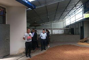 美国研究所爆料案例最新,惊人案例揭露真相！