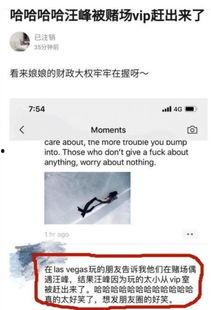 汪峰在美国的爆料视频,揭秘娱乐圈内幕与真实生活