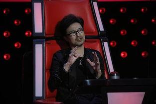 汪峰在美国的爆料视频,揭秘娱乐圈内幕与真实生活